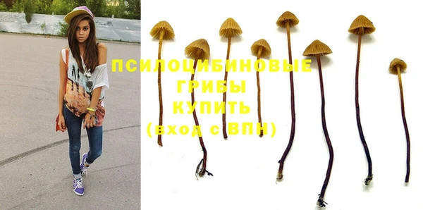 герыч Володарск