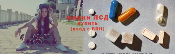 PSILOCYBIN Струнино